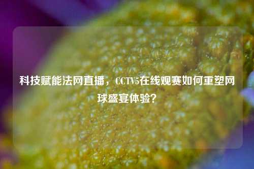 科技赋能法网直播，CCTV5在线观赛如何重塑网球盛宴体验？