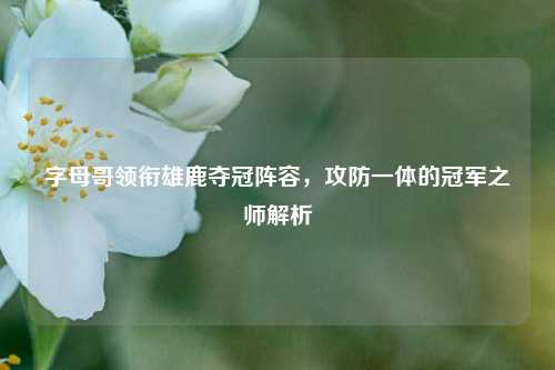 字母哥领衔雄鹿夺冠阵容，攻防一体的冠军之师解析