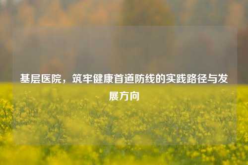 基层医院，筑牢健康首道防线的实践路径与发展方向