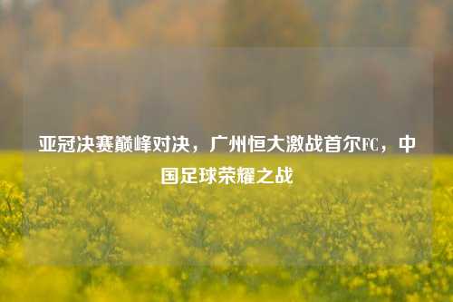 亚冠决赛巅峰对决，广州恒大激战首尔FC，中国足球荣耀之战