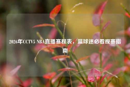 2026年CCTV5 NBA直播赛程表，篮球迷必看观赛指南
