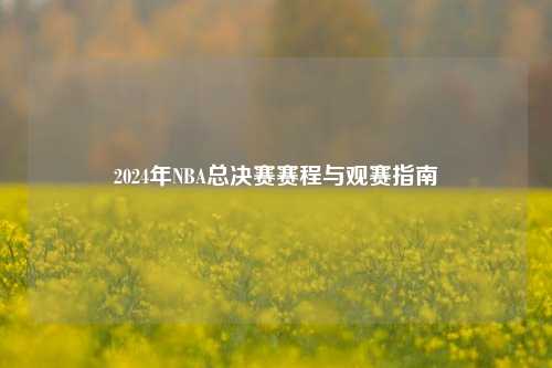 2024年NBA总决赛赛程与观赛指南