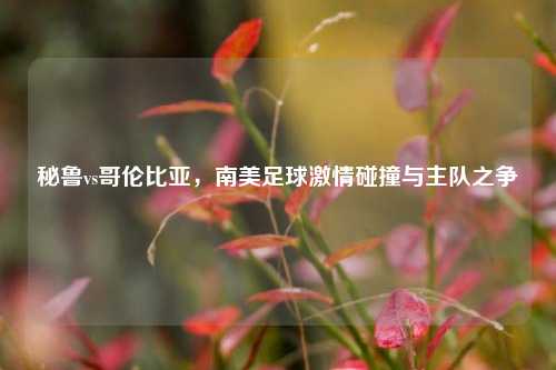 秘鲁vs哥伦比亚，南美足球     碰撞与主队之争