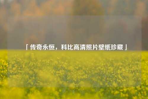 「传奇永恒，科比高清照片壁纸珍藏」