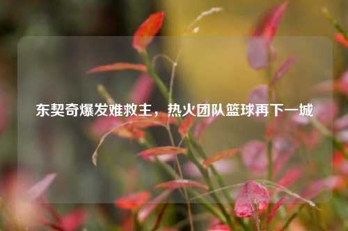 东契奇爆发难救主，热火团队篮球再下一城