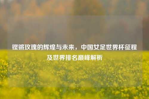 铿锵玫瑰的辉煌与未来，中国女足世界杯征程及世界排名巅峰解析