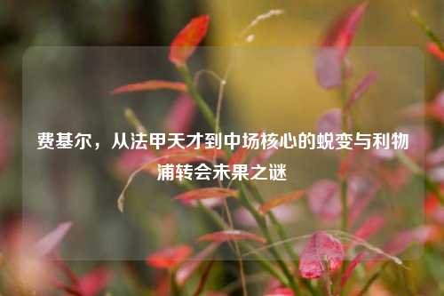 费基尔，从法甲天才到中场核心的蜕变与利物浦转会未果之谜
