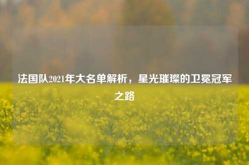 法国队2021年大名单解析，星光璀璨的卫冕冠军之路