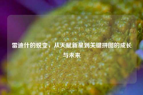 雷迪什的蜕变，从天赋新星到关键拼图的成长与未来