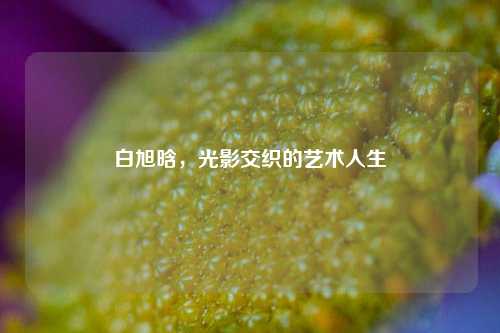 白旭晗，光影交织的艺术人生