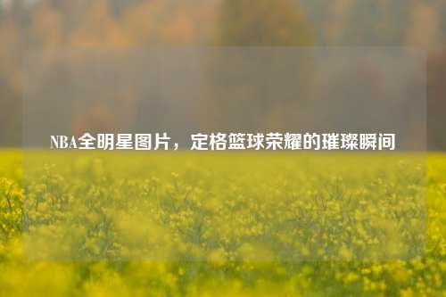 NBA全明星图片，定格篮球荣耀的璀璨瞬间