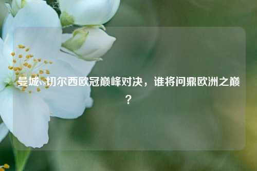曼城vs切尔西欧冠巅峰对决，谁将问鼎欧洲之巅？
