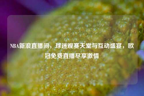 NBA新浪直播间，球迷观赛天堂与互动盛宴，欧冠免费直播尽享     