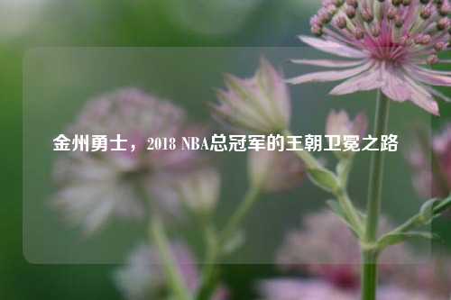 金州勇士，2018 NBA总冠军的王朝卫冕之路
