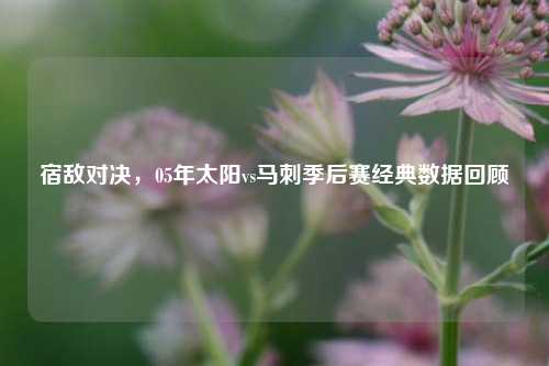 宿敌对决，05年太阳vs马刺季后赛经典数据回顾
