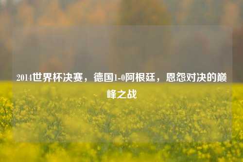 2014世界杯决赛，德国1-0阿根廷，恩怨对决的巅峰之战
