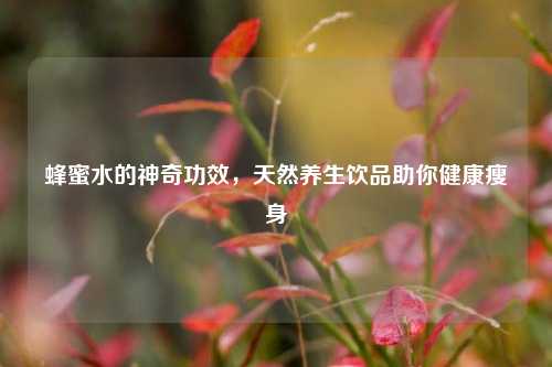 蜂蜜水的神奇功效，天然养生饮品助你健康瘦身