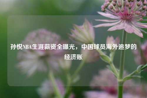 孙悦NBA生涯薪资全曝光，中国球员海外追梦的经济账