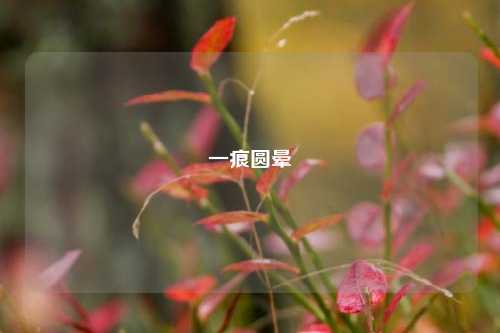 一痕圆晕