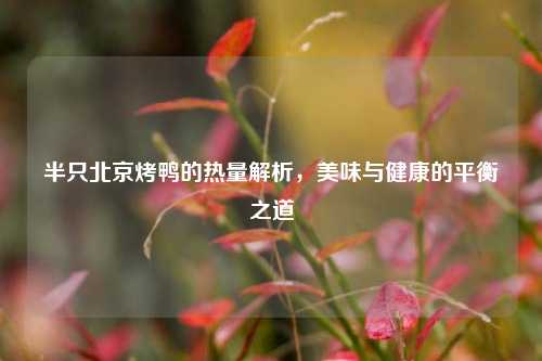 半只北京烤鸭的热量解析，美味与健康的平衡之道