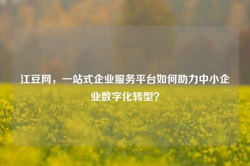 江豆网，一站式企业服务平台如何助力中小企业数字化转型？