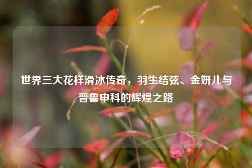 世界三大花样滑冰传奇，羽生结弦、金妍儿与普鲁申科的辉煌之路