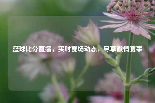 篮球比分直播，实时赛场动态，尽享     赛事