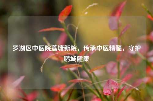 罗湖区中医院莲塘新院，传承中医精髓，守护鹏城健康