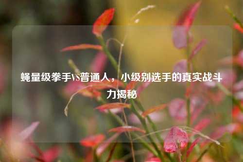 蝇量级拳手VS普通人，小级别选手的真实战斗力揭秘