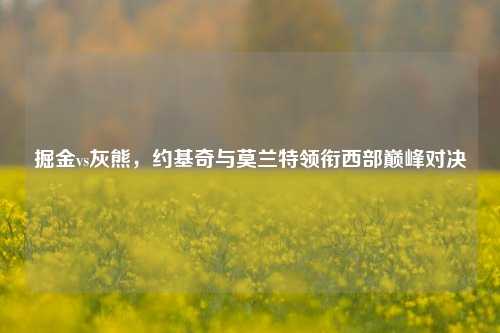 掘金vs灰熊，约基奇与莫兰特领衔西部巅峰对决