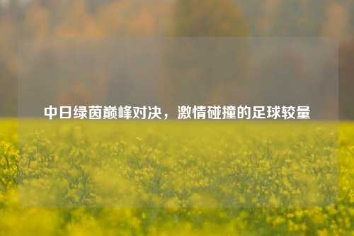 中日绿茵巅峰对决，     碰撞的足球较量