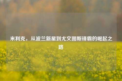 米利克，从波兰新星到尤文图斯锋霸的崛起之路