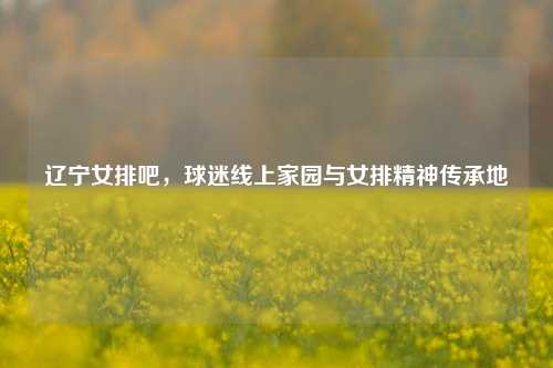 辽宁女排吧，球迷线上家园与女排精神传承地