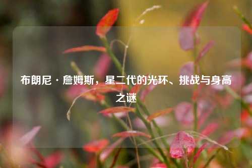布朗尼·詹姆斯，星二代的光环、挑战与身高之谜
