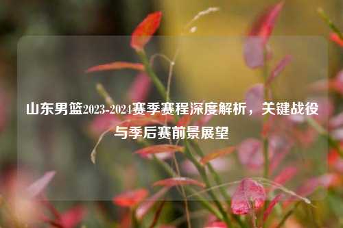 山东男篮2023-2024赛季赛程深度解析，关键战役与季后赛前景展望