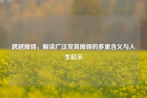 跨越障碍，解读广泛发育障碍的多重含义与人生启示