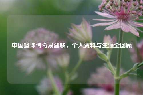 中国篮球传奇易建联，个人资料与生涯全回顾