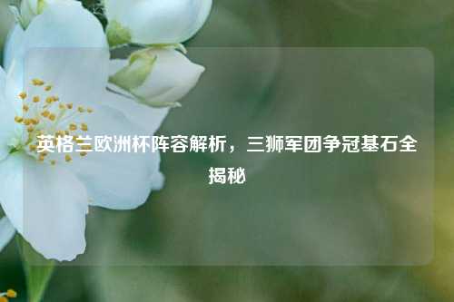 英格兰欧洲杯阵容解析，三狮军团争冠基石全揭秘