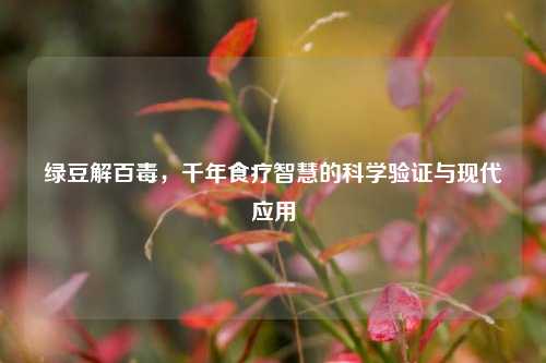 绿豆解百毒，千年食疗智慧的科学验证与现代应用