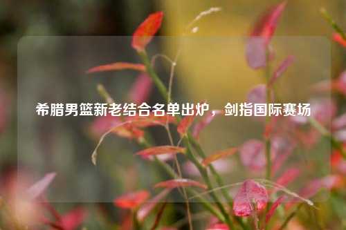 希腊男篮新老结合名单出炉，剑指国际赛场