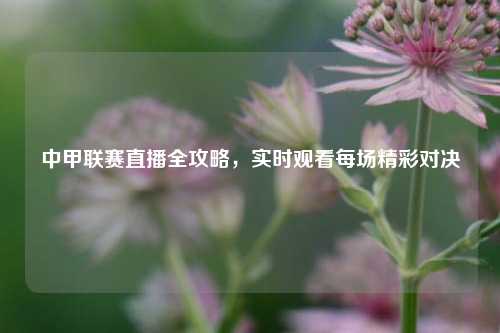 中甲联赛直播全攻略，实时观看每场精彩对决