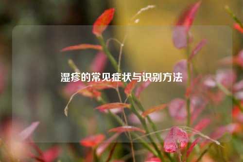 湿疹的常见症状与识别     