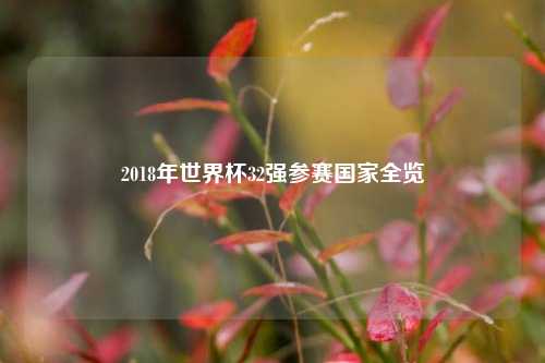 2018年世界杯32强参赛国家全览