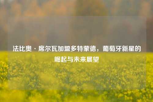法比奥·席尔瓦加盟多特蒙德，葡萄牙新星的崛起与未来展望