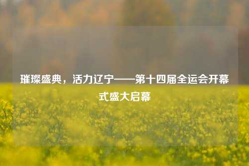 璀璨盛典，活力辽宁——第十四届全运会开幕式盛大启幕
