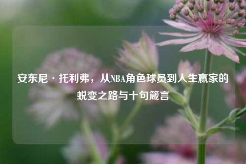 安东尼·托利弗，从NBA角色球员到人生赢家的蜕变之路与十句箴言