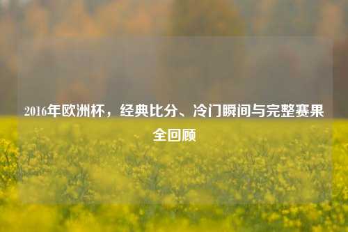 2016年欧洲杯，经典比分、冷门瞬间与完整赛果全回顾