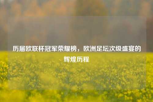 历届欧联杯冠军荣耀榜，欧洲足坛次级盛宴的辉煌历程