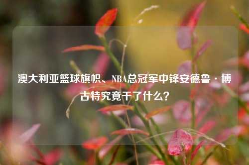澳大利亚篮球旗帜、NBA总冠军中锋安德鲁·博古特究竟干了什么？