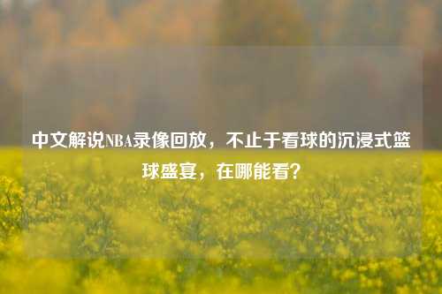 中文解说NBA录像回放，不止于看球的沉浸式篮球盛宴，在哪能看？